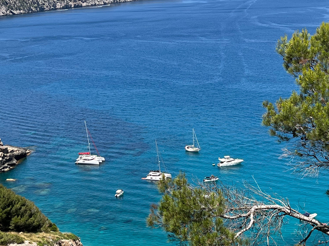 Platja Des Coll Baix-阿库迪亚必去景点