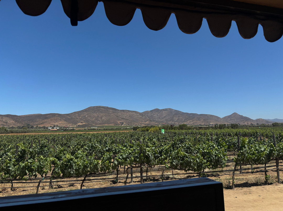 El Cielo Valle de Guadalupe-Valle de Guadalupe必去景点