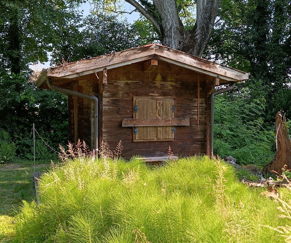 Parco Palude di Onara-Onara必去景点