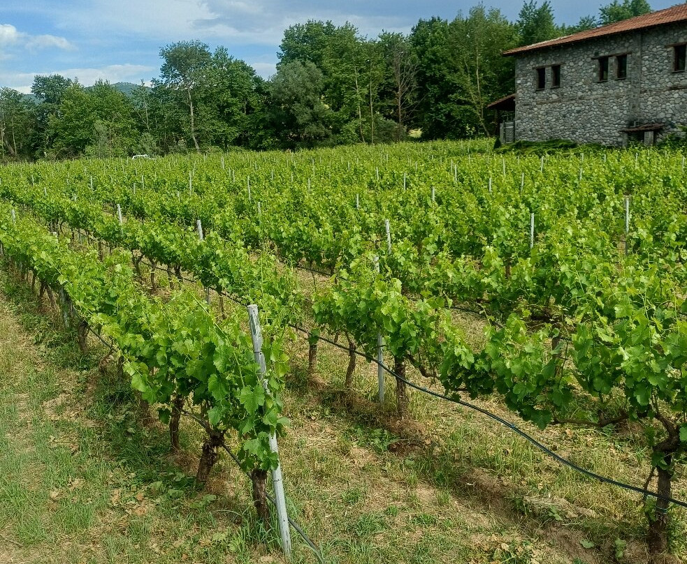 Domaine Liakou-卡兰巴卡必去景点
