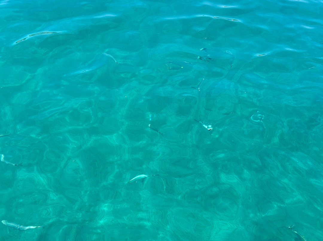 Boat Rental Cabo Roig - by David & Kelly-卡博罗伊格必去景点