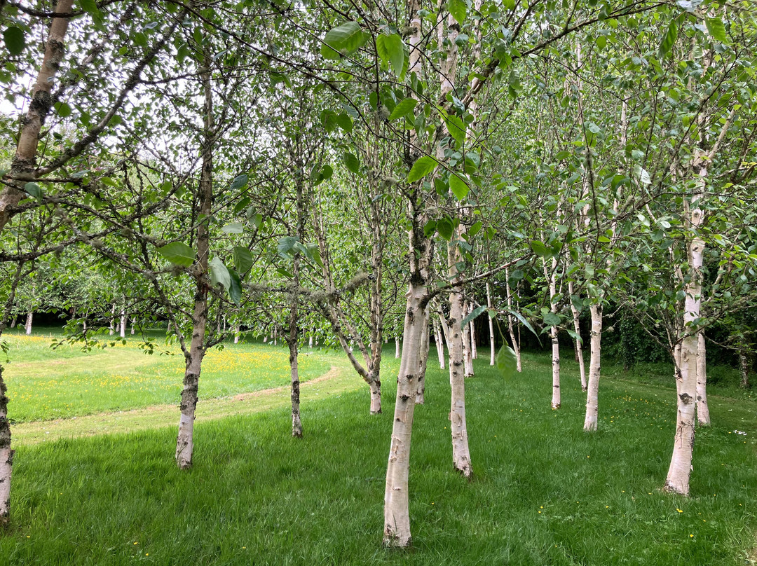 Bonython Estate Gardens-赫尔斯顿必去景点