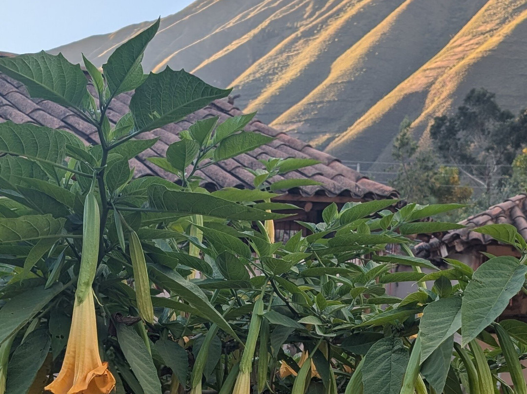 Rainforest Reef Escape | Small Group Eco-Adventures-Cabo Matapalo必去景点