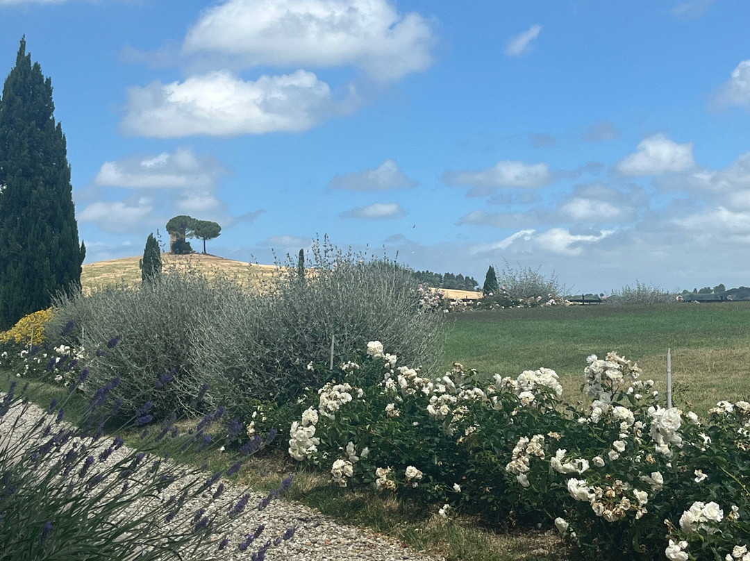 Tenuta Gardini-Bibbona必去景点