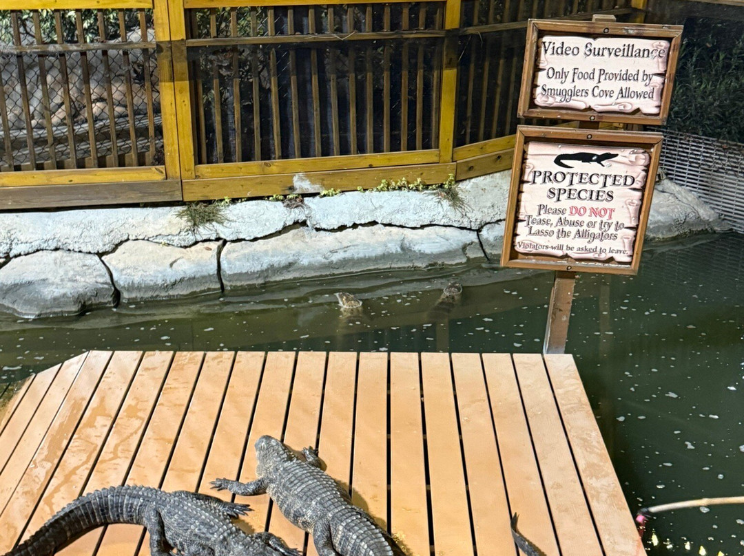 Smugglers Cove Adventure Golf-Indian Shores必去景点