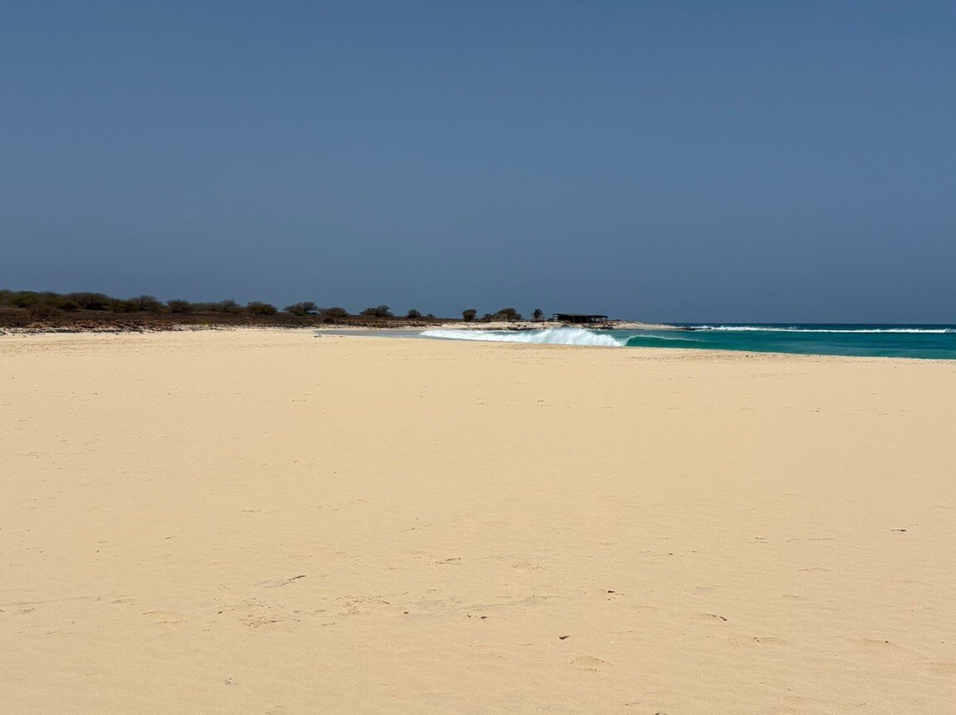 Pier Boa Vista Tours-博阿维斯塔必去景点
