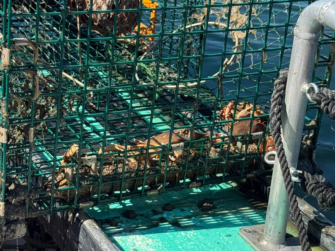 Lucky Catch Cruises-波特兰必去景点
