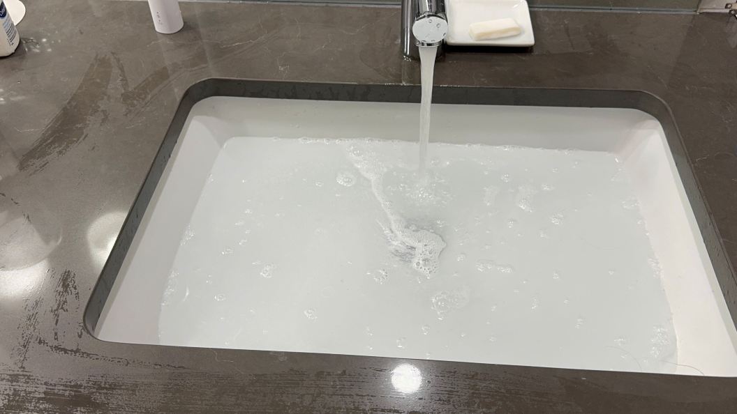 卡纳纳斯基斯傲途格精选酒店-旅行者