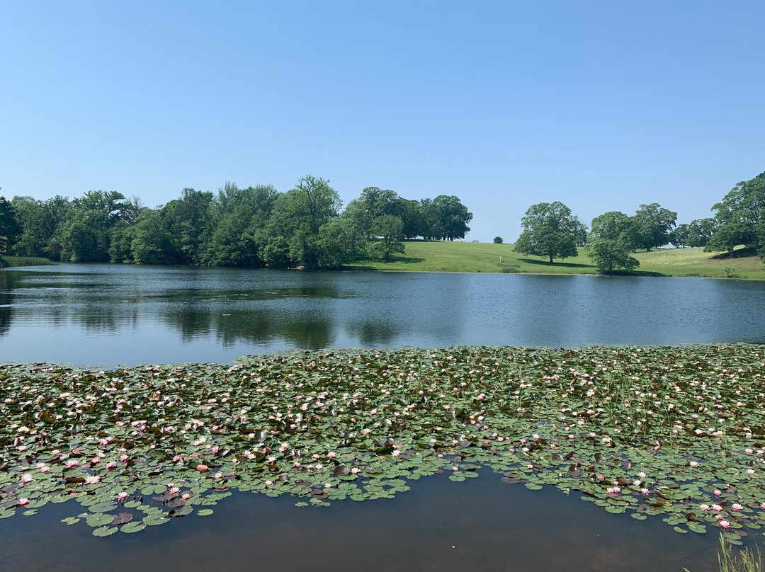 Dudmaston Estate-Bridgnorth必去景点