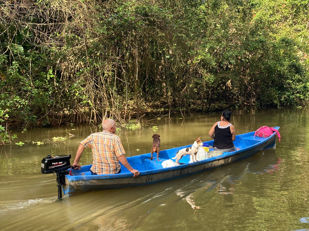 Tortuguero Canal-利蒙港必去景点