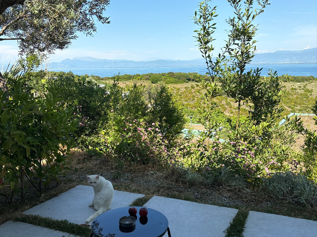 Cape Of Rodon Resort-杜勒斯必去景点