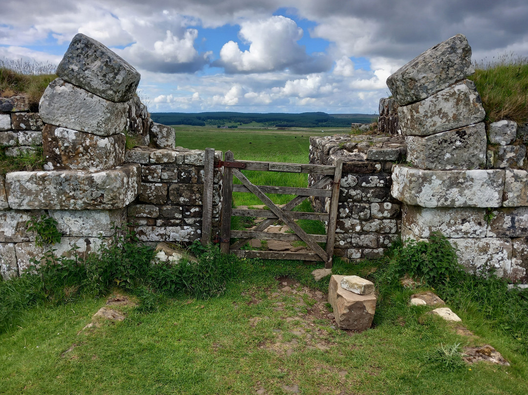 Hadrian's Wall Path-Wallsend必去景点