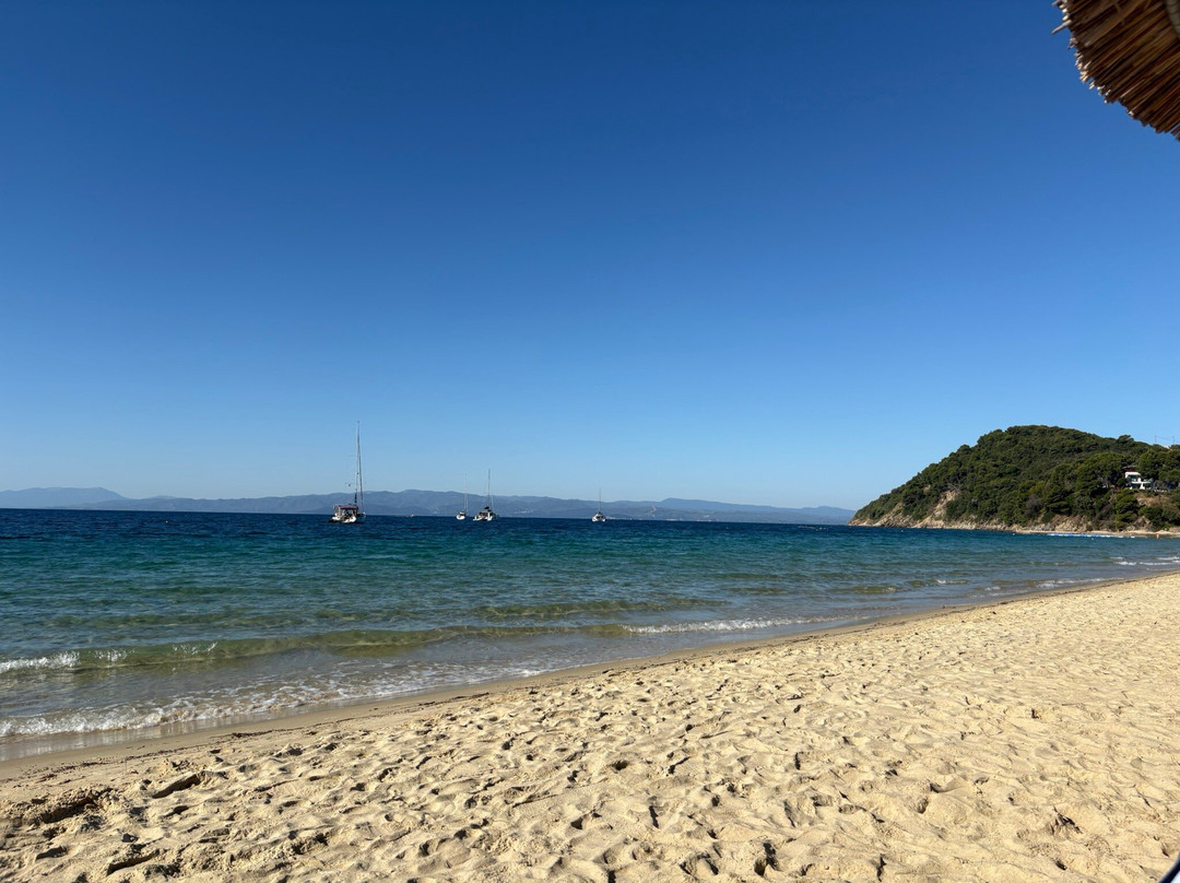 Koukounaries Beach-Koukounaries必去景点