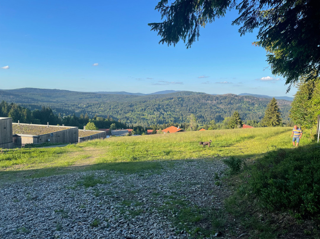 Hunderesort Waldeck - 4 Sterne Urlaub Mit Hund主图