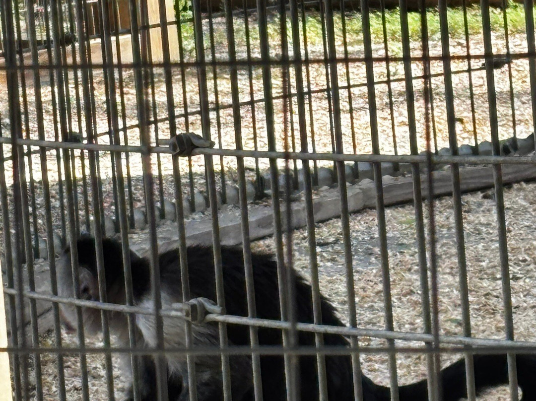 Luray Zoo - A Rescue Zoo-卢雷必去景点