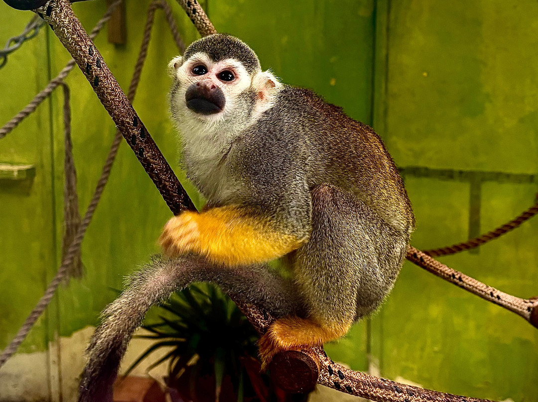 Auchingarrich Wildlife And Adventure Park-Comrie必去景点