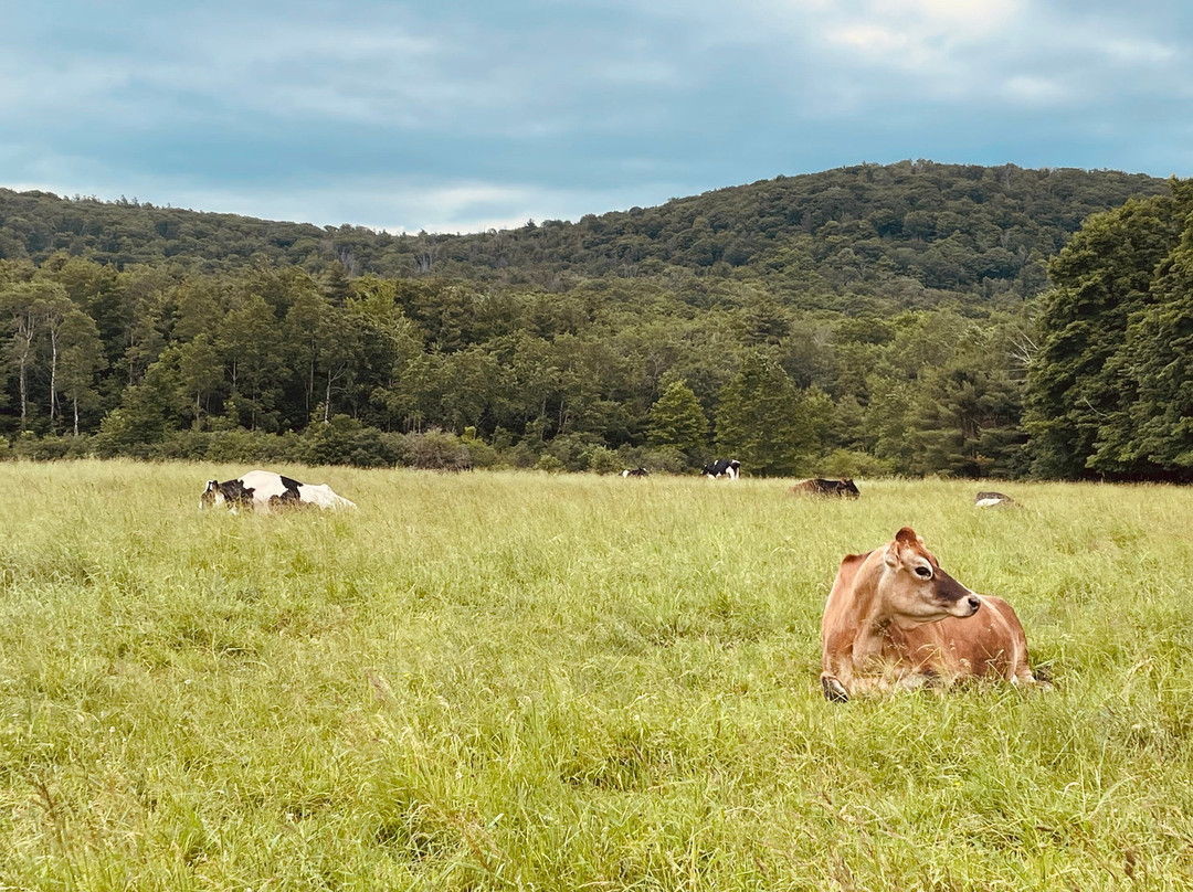 Farm Sanctuary主图