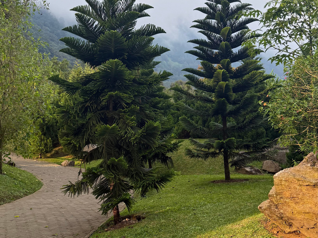 Bali Farm House-Pancasari必去景点