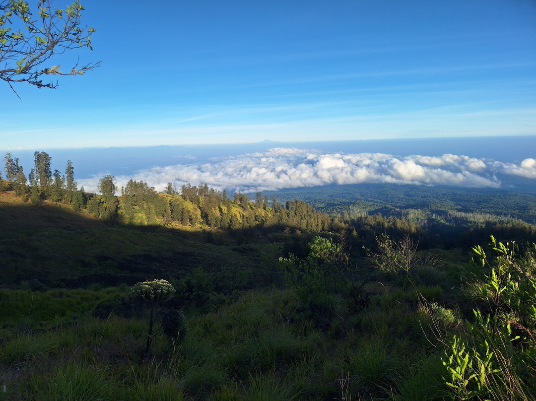 Visit Tambora-Bima必去景点