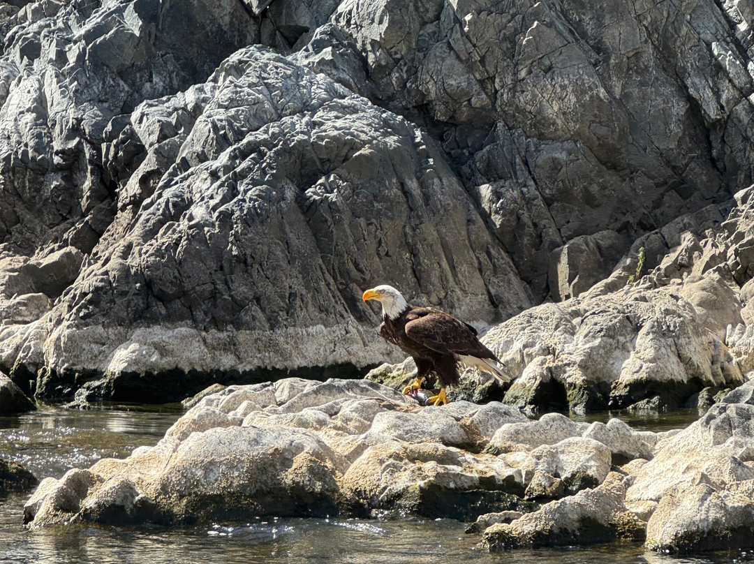 Beamers Hells Canyon Tours-Clarkston必去景点