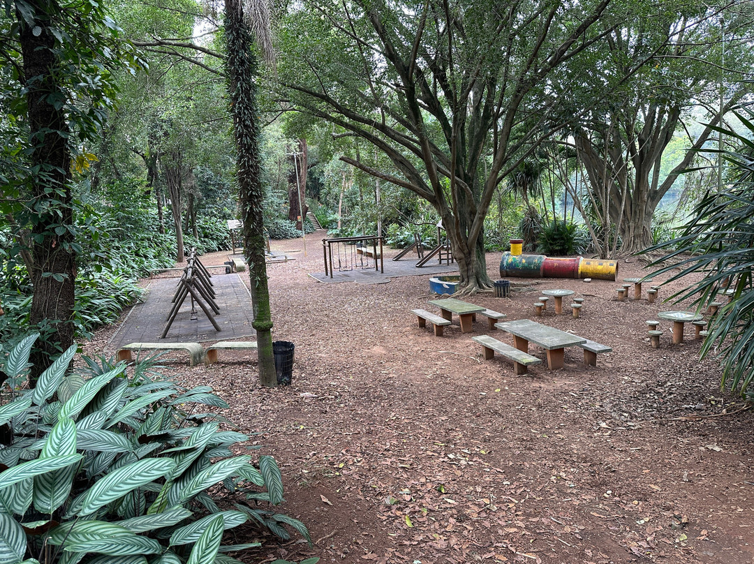 Parque da Aclimação-圣保罗必去景点