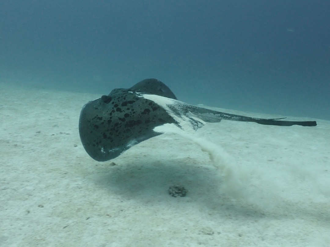 Acqua Adventures Rasdhoo-拉斯胡必去景点