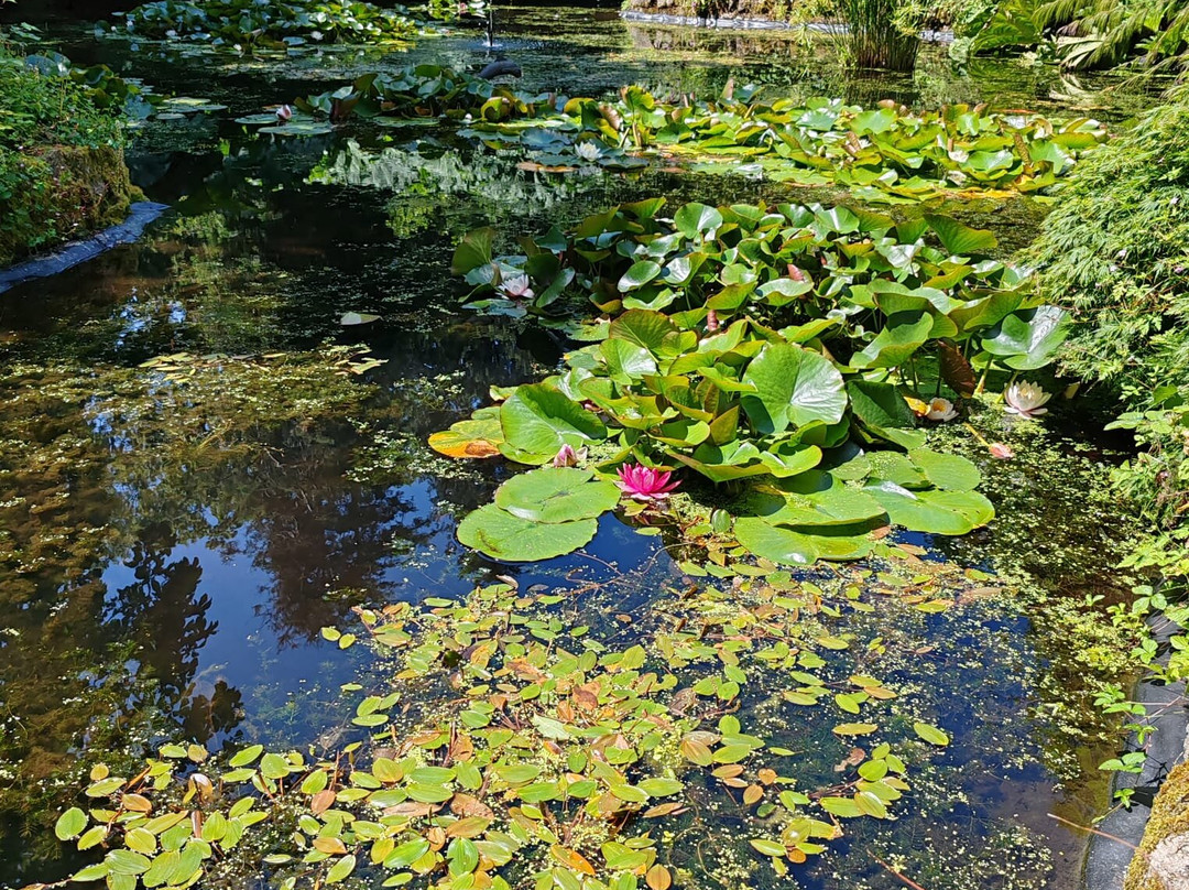 Trewidden Garden-Newlyn必去景点