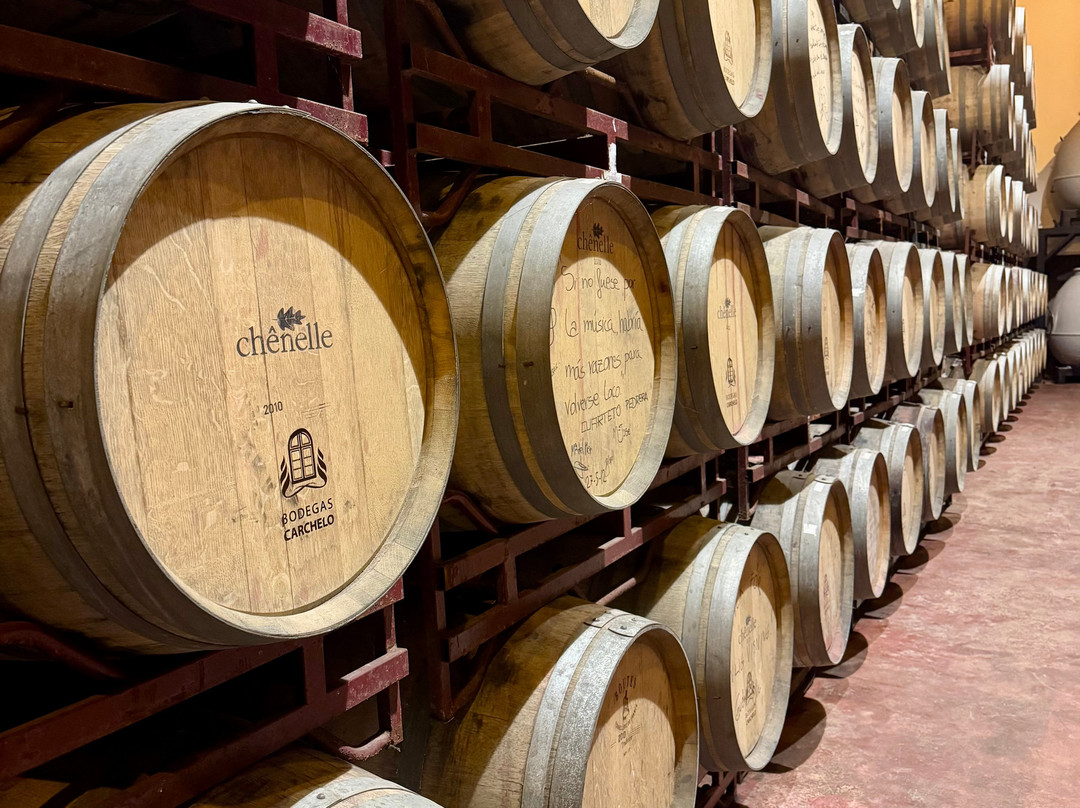 Bodegas Carchelo-Jumilla必去景点