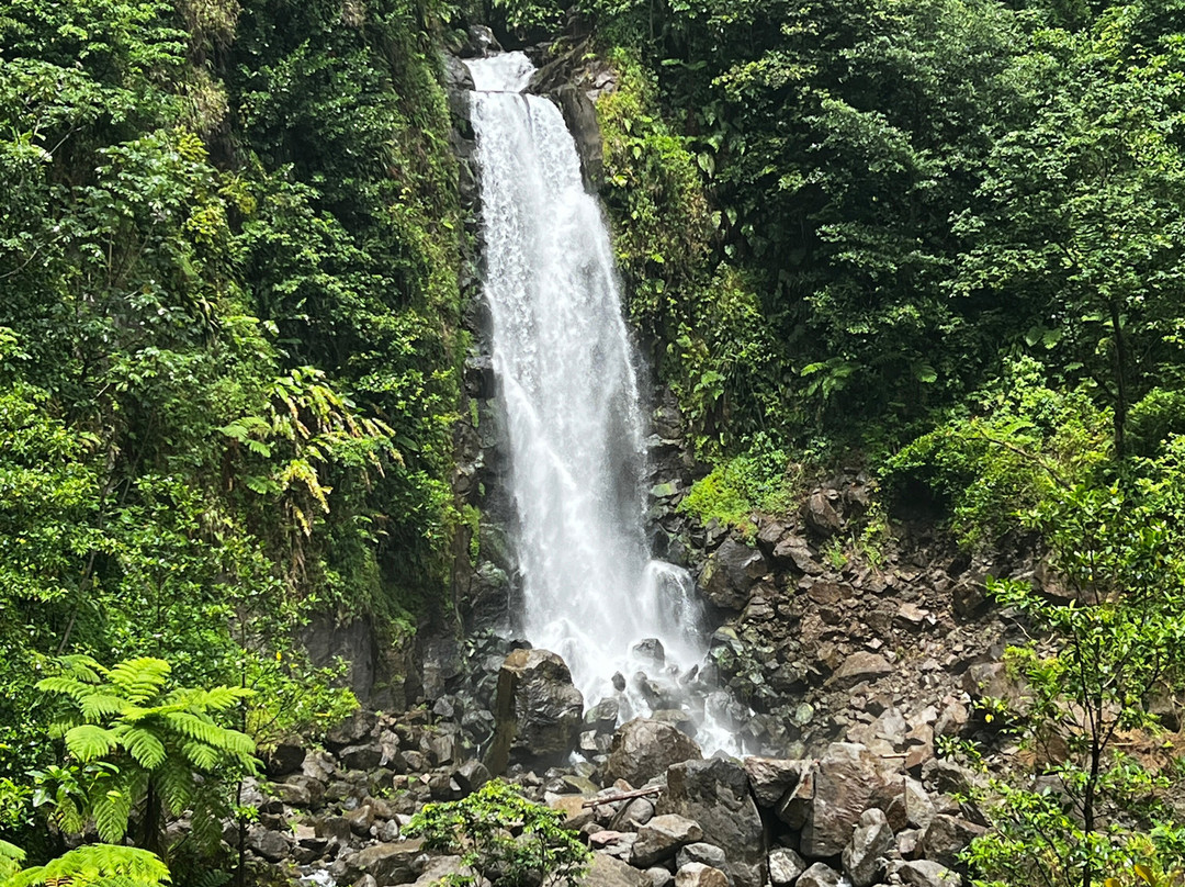 Waitukubuli Adventure Tour Co.-罗索必去景点