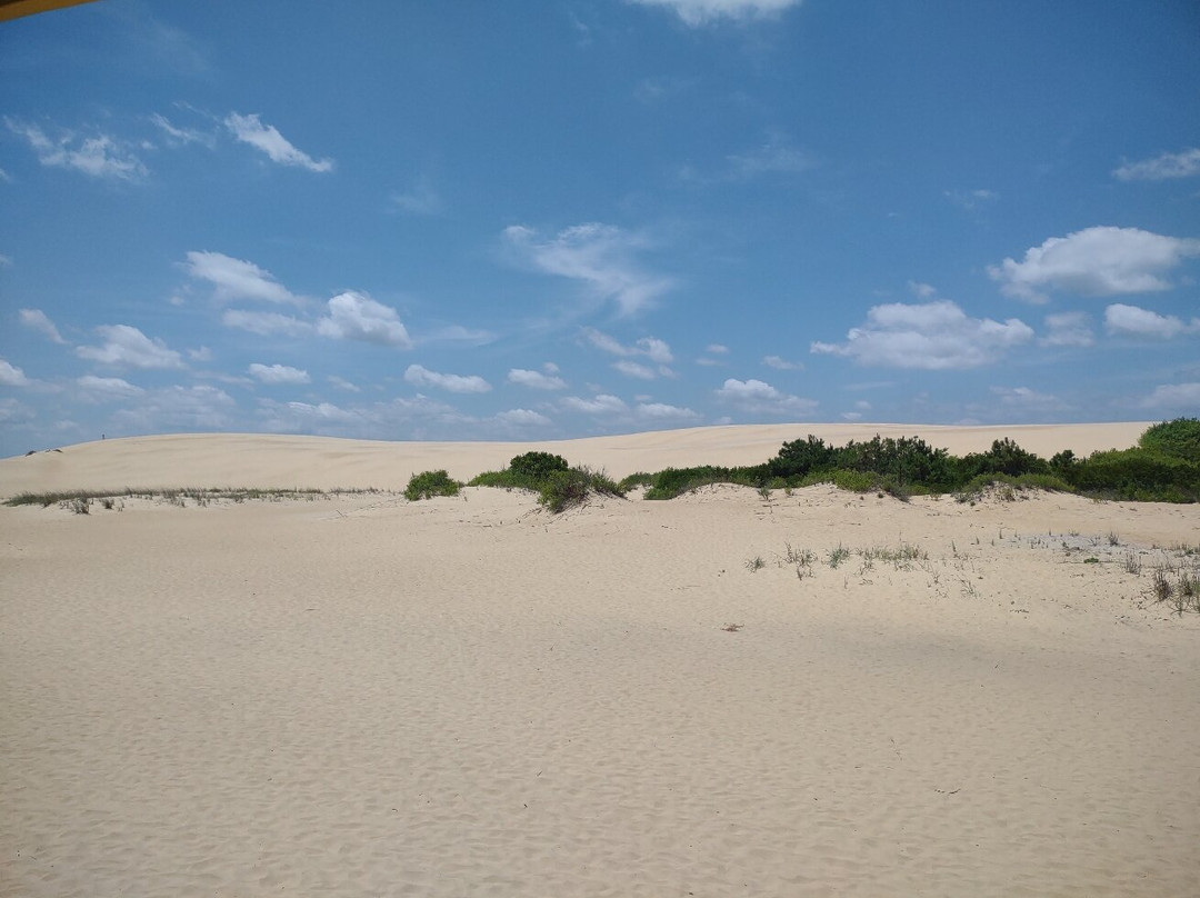 Jockey's Ridge State Park-纳格斯海德必去景点
