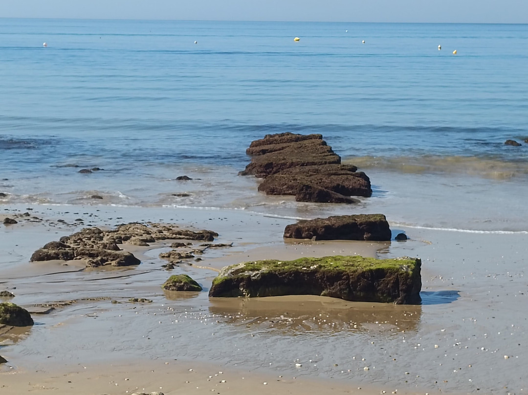 Praia Da Oura-阿尔布赞拉必去景点