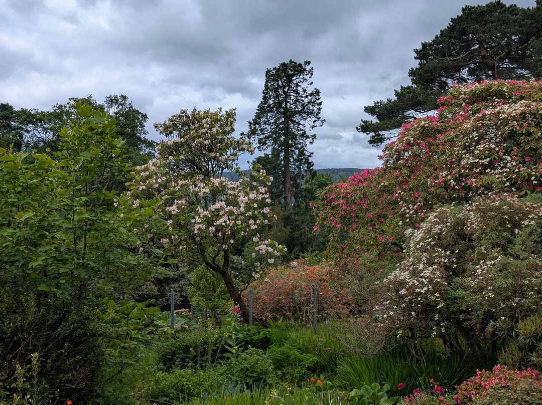 Glenarn Gardens-Rhu必去景点