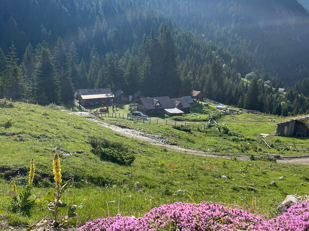 Balkan Natural Adventure-Pejë必去景点