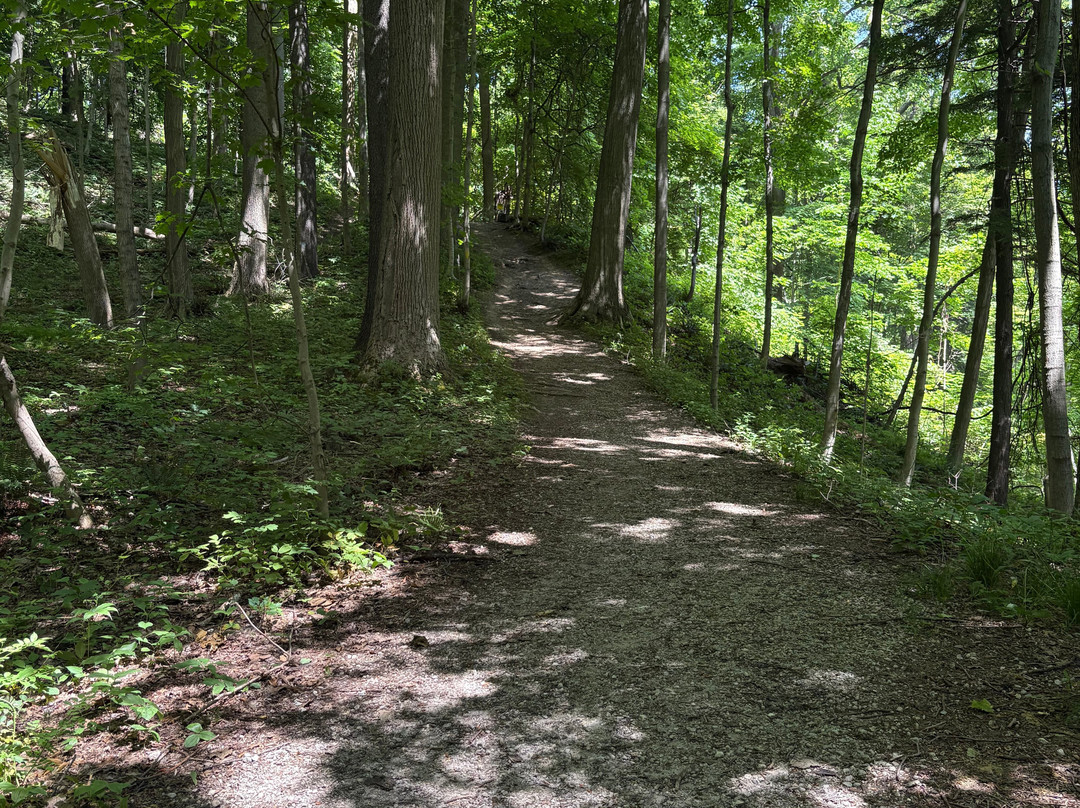 Erie Bluffs State Park-Lake City必去景点
