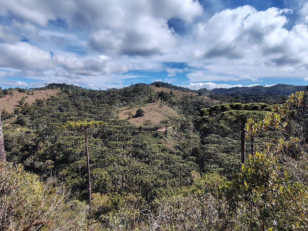 Parque Estadual Campos do Jordao-坎普斯－杜若尔当必去景点