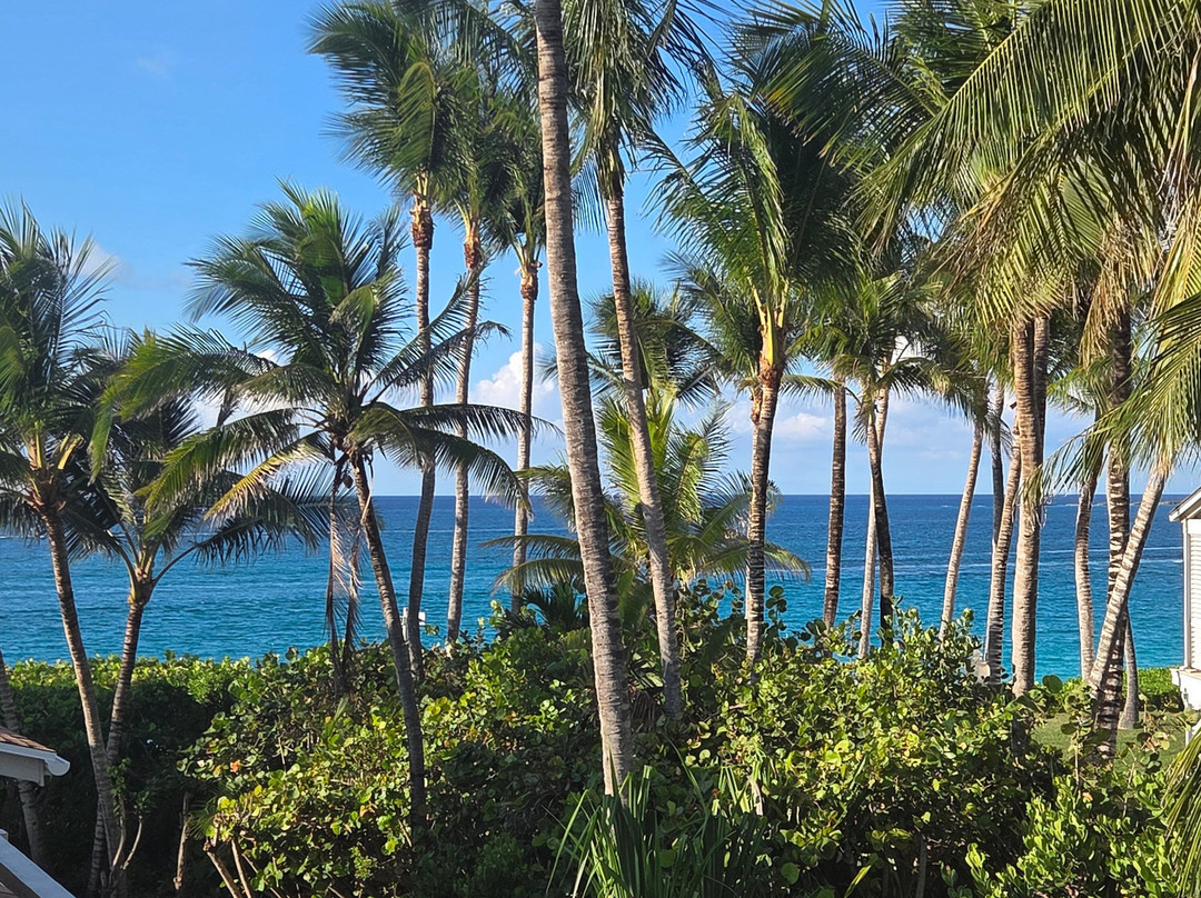 Sunrise Beach Clubs and Villas主图