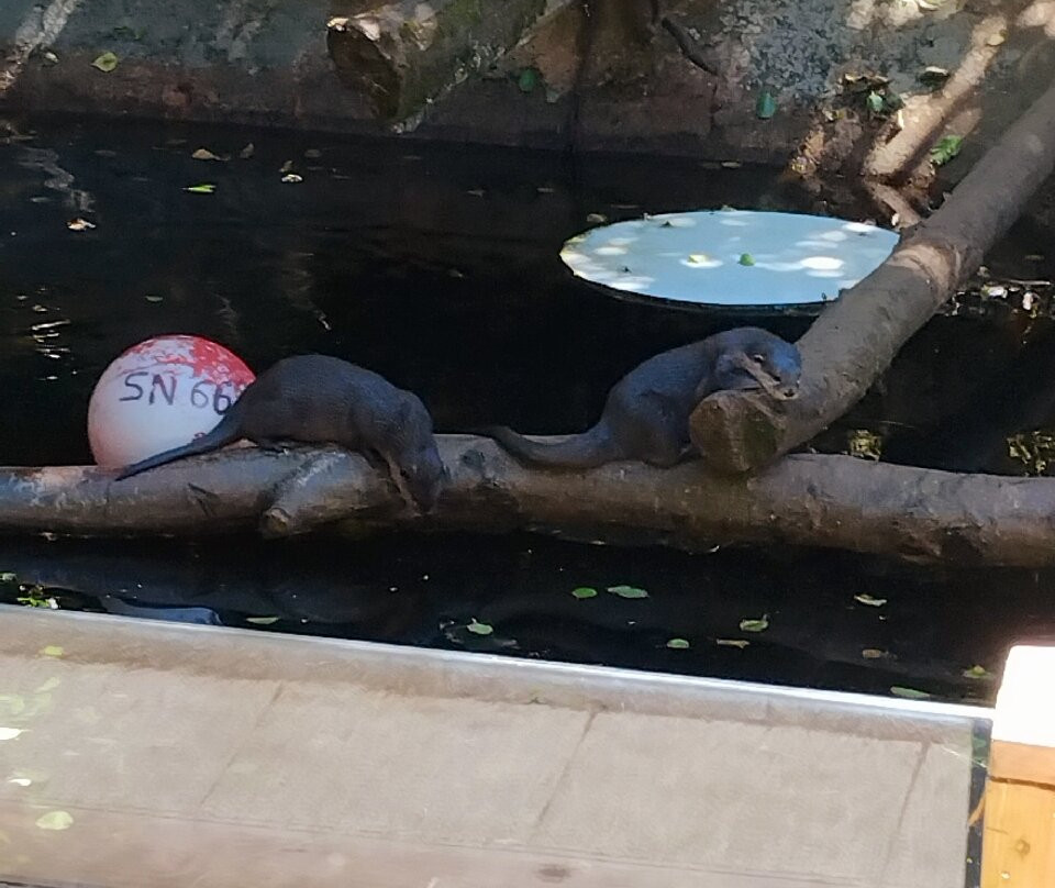 ZooParc de Trégomeur-Tregomeur必去景点