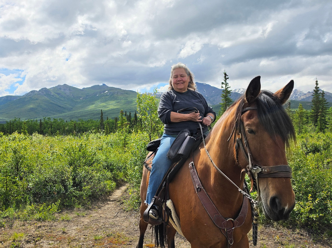 Denali Horseback Tours-德纳利国家公园和自然保护区必去景点