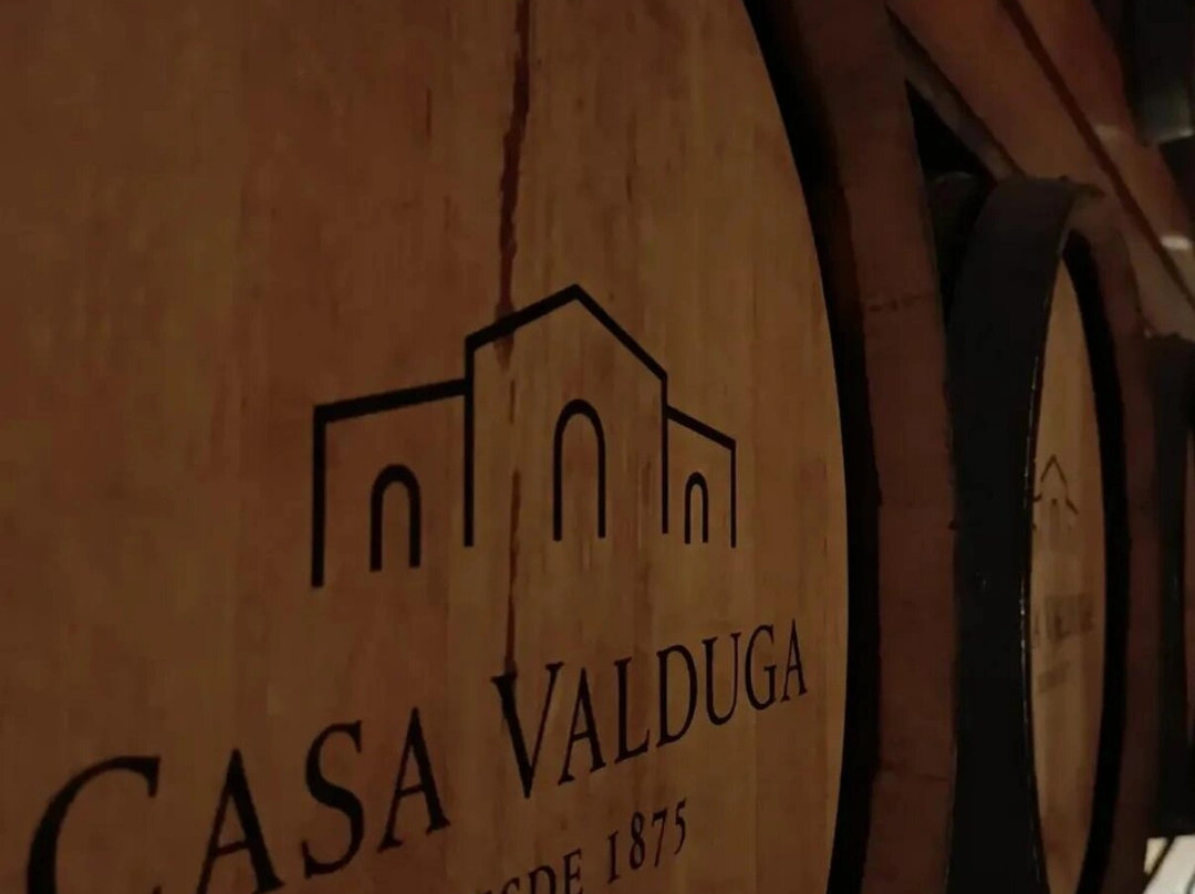 Casa Valduga Winery-本图贡萨尔维斯必去景点