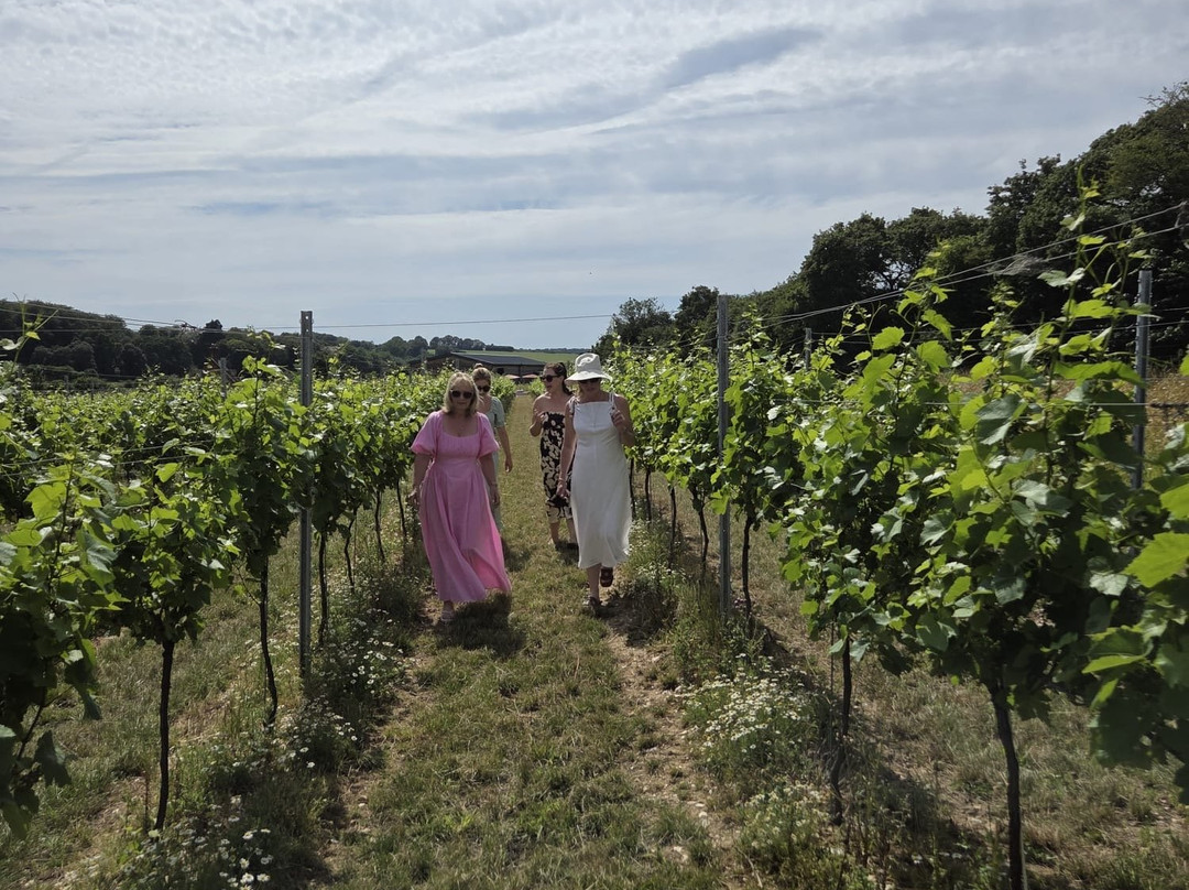 Raimes English Sparkling Wine-Alresford必去景点