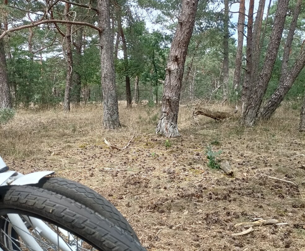 De Hoge Veluwe National Park-Gelderland Province必去景点