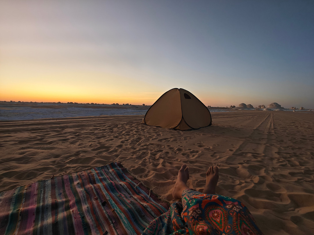 Marsa Alam Tours-马萨阿拉姆必去景点