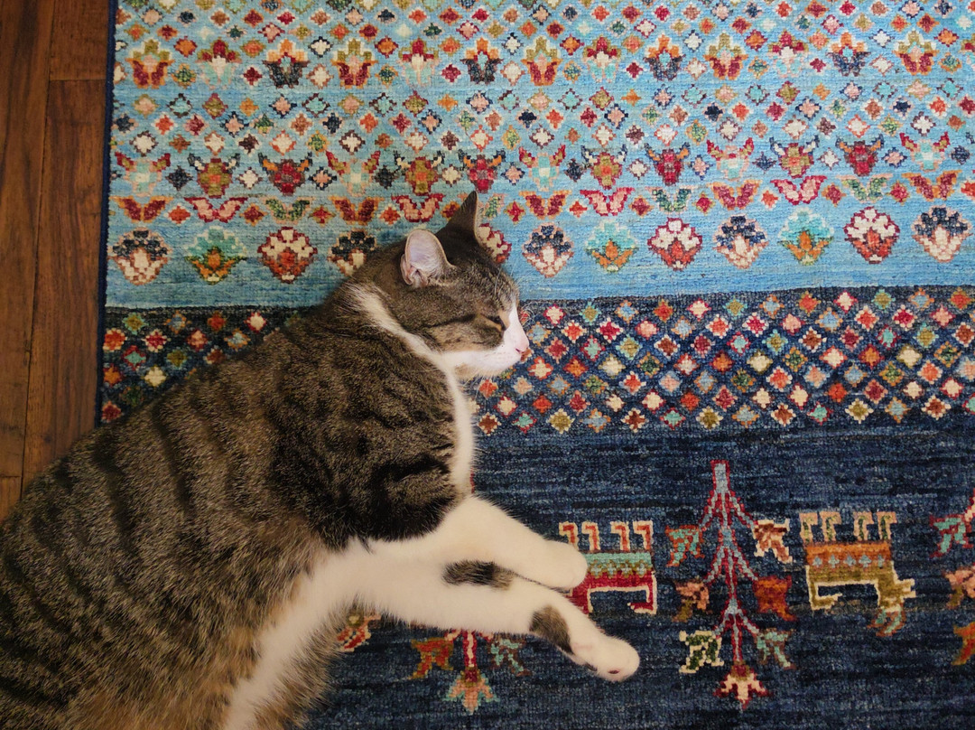 Seven Brothers Carpet Shop-Kaymakli必去景点