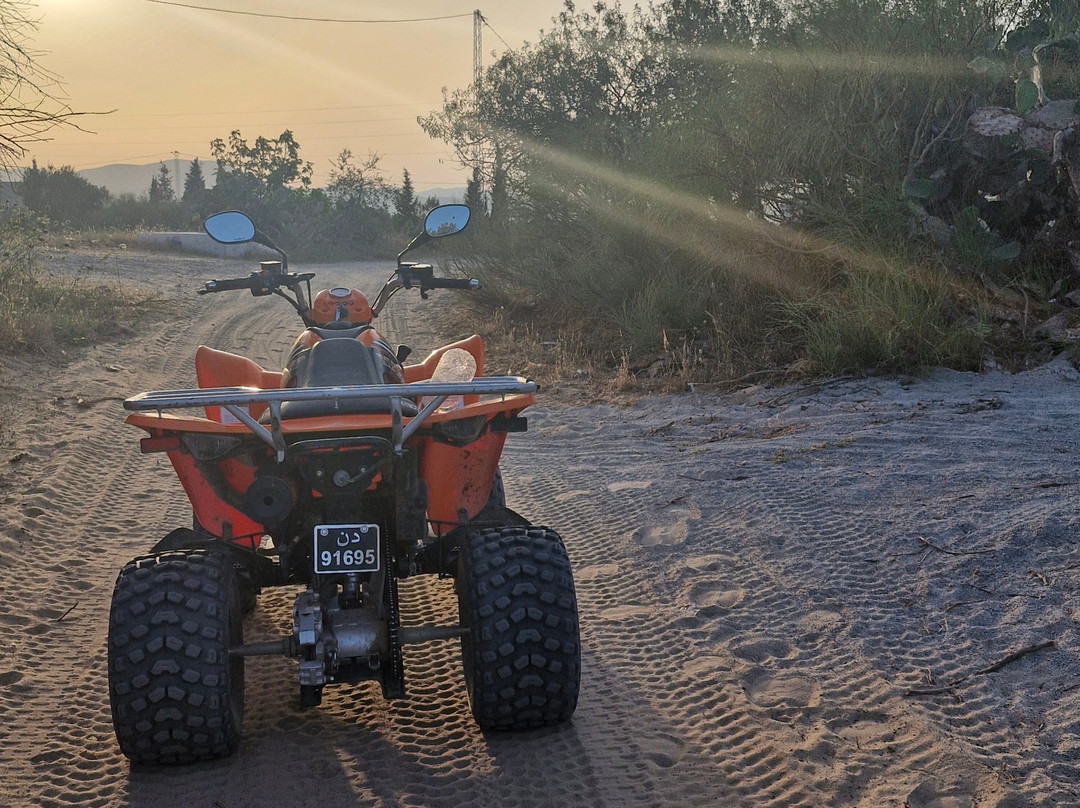 Merabella Quad & Buggy Station Hammamet-Bir Bou Rekba必去景点