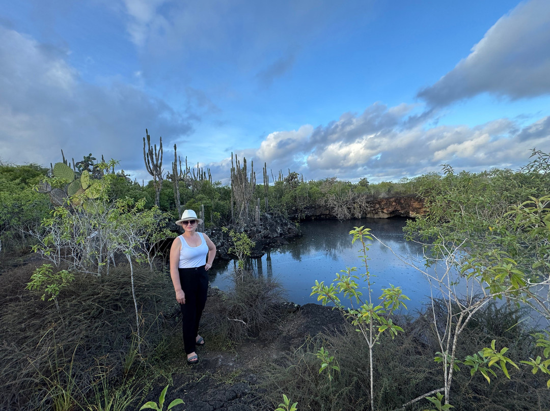Isabela Island Wetlands Complex-维里亚米尔港必去景点
