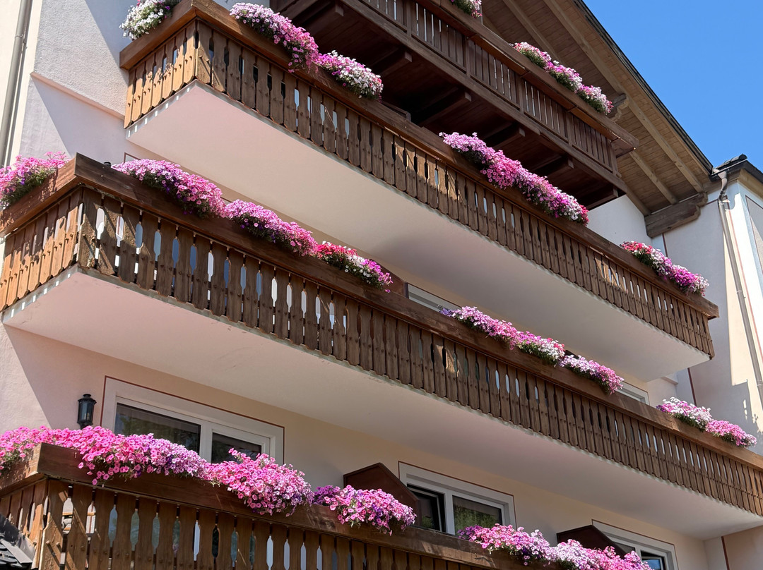 Erica - Wellness & Vitalhotel主图
