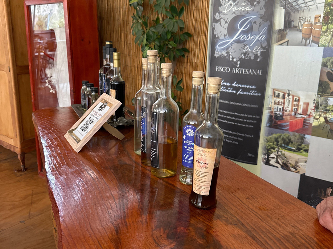 Doña Josefa de Elqui - Pisco Artesanal-Pisco Elqui必去景点