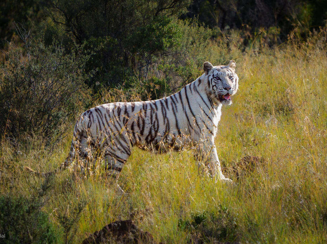 Kishindo Conservation Reserve-Philippolis必去景点