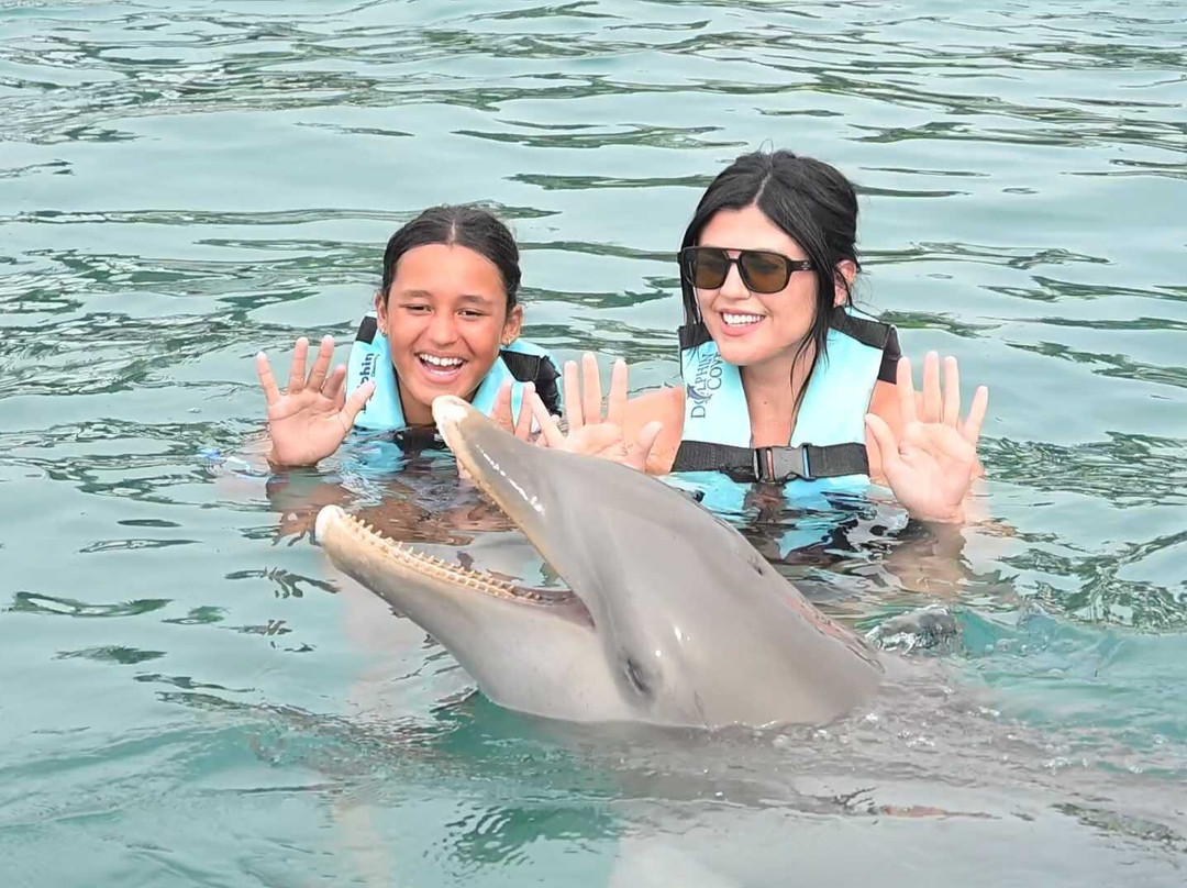 Dolphin Discovery Grand Cayman-西湾必去景点