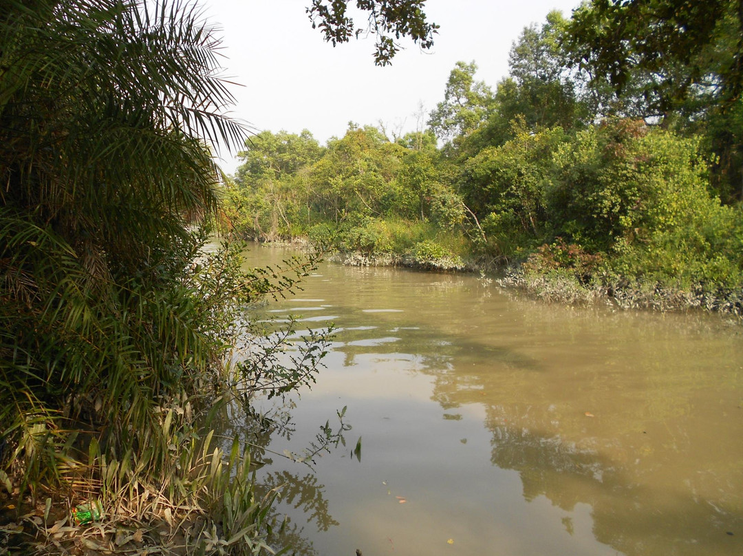 The Sundarbans-库尔纳县必去景点